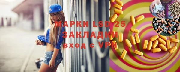 гашик Алексин