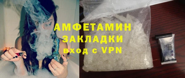 гашик Алексин