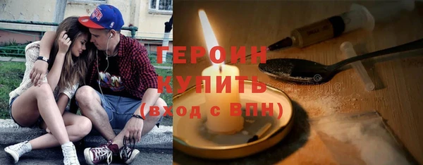 гашик Алексин