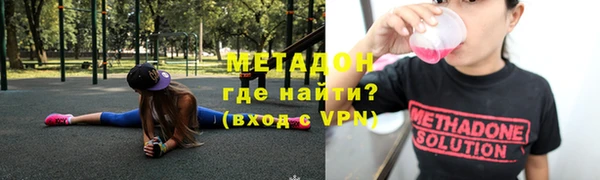 гашик Алексин