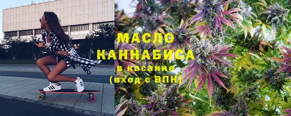 гашик Алексин