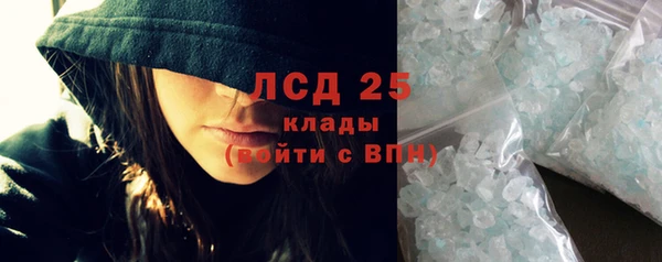гашик Алексин