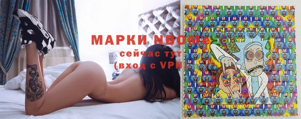 гашик Алексин