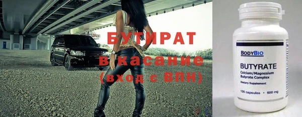 гашик Алексин