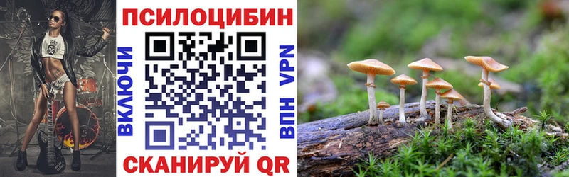 блэк спрут зеркало  Покачи  Псилоцибиновые грибы Psilocybe 